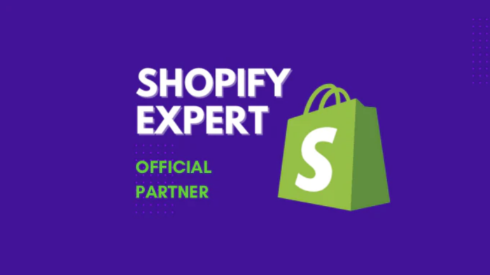 shopify drop shipping store