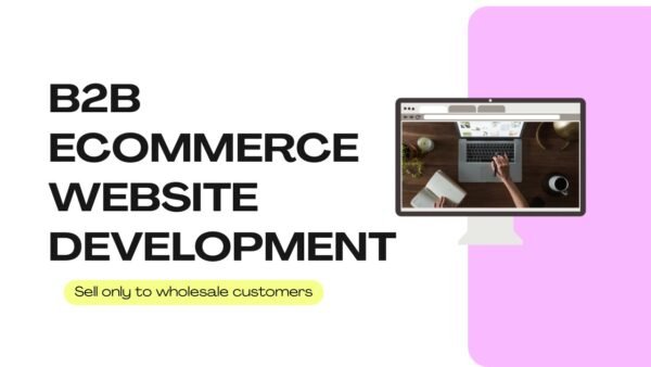 B2B Ecommerce website development