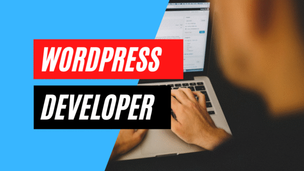 wordpress developer